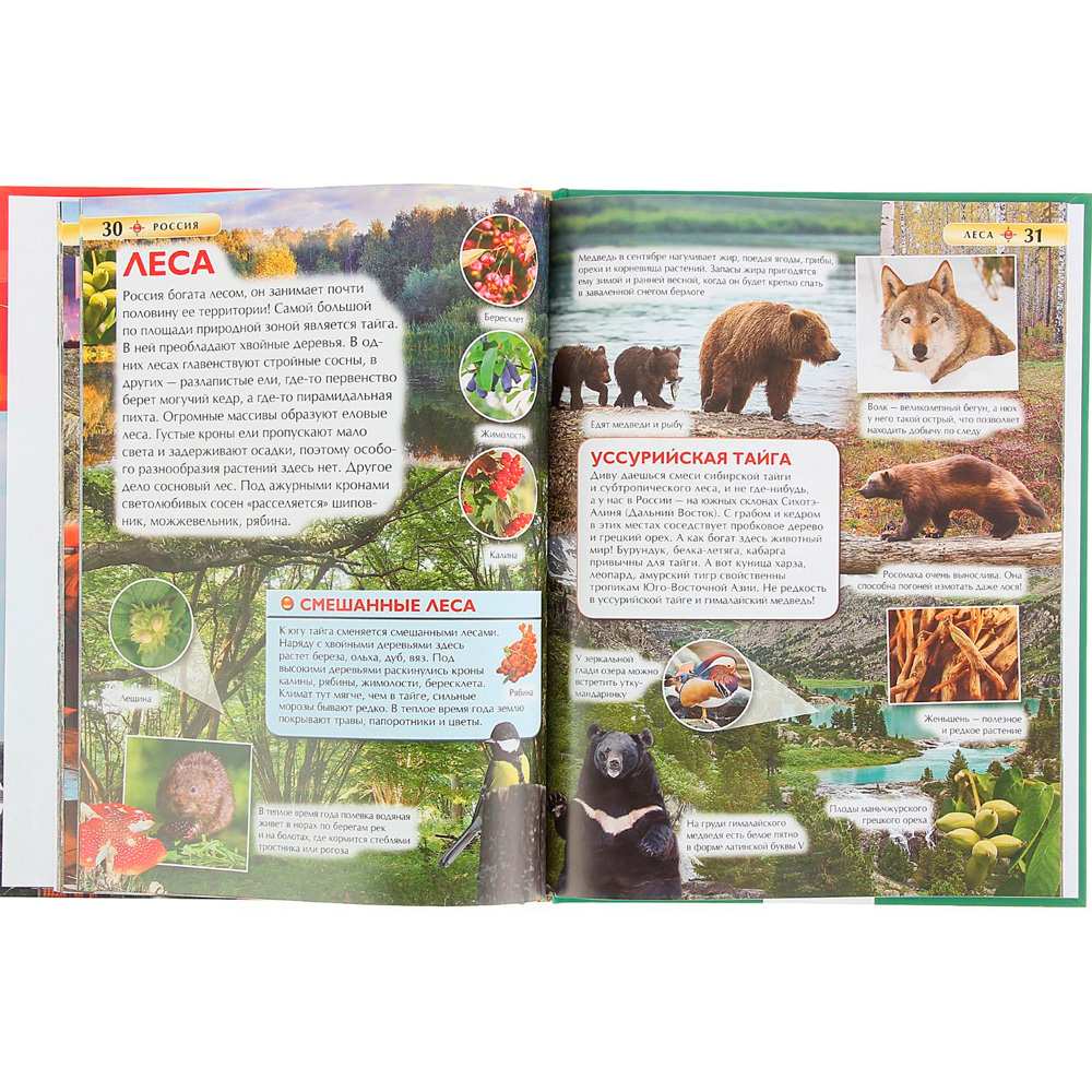 Книга 978-5-353-07366-6 Россия.Детская энциклопедия Книга 978-5-353-07366-6 Россия.Детская энциклопедия
