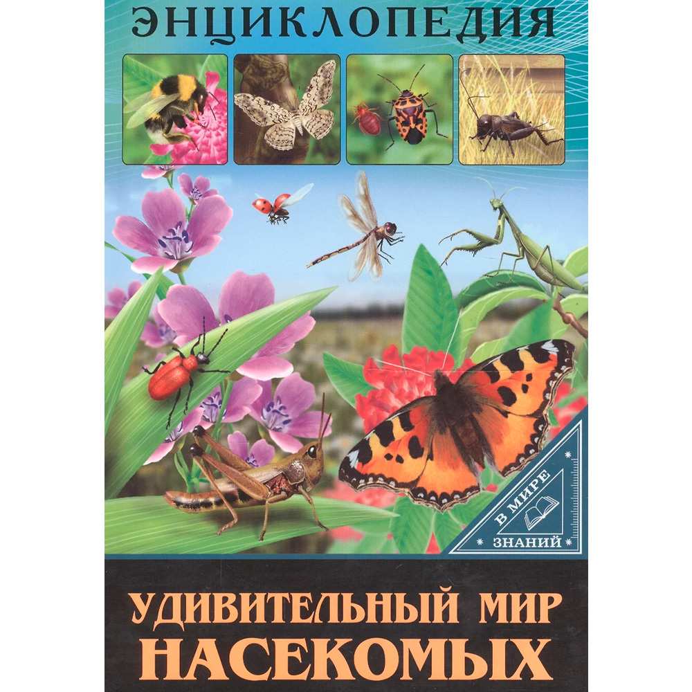Книга Энциклопедия В Мире знаний 978-5-378-27552-6 Удивительный мир насекомых Книга Энциклопедия В Мире знаний 978-5-378-27552-6 Удивительный мир насекомых