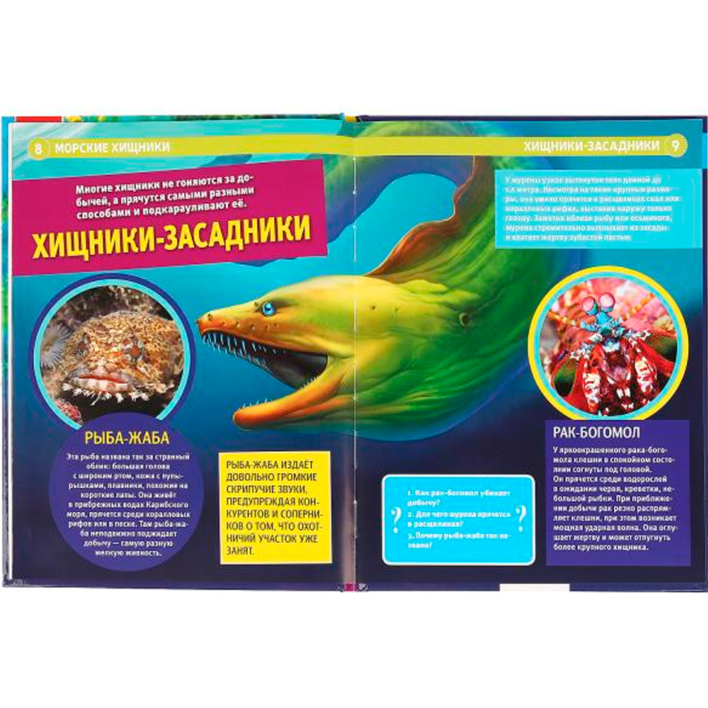 Книга Умка 978-5-506-04090-3 Энциклопедия.Морские хищники.А4