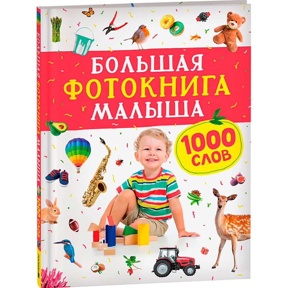 Книга 978-5-353-10544-2 Большая фотокнига малыша. 1000 слов