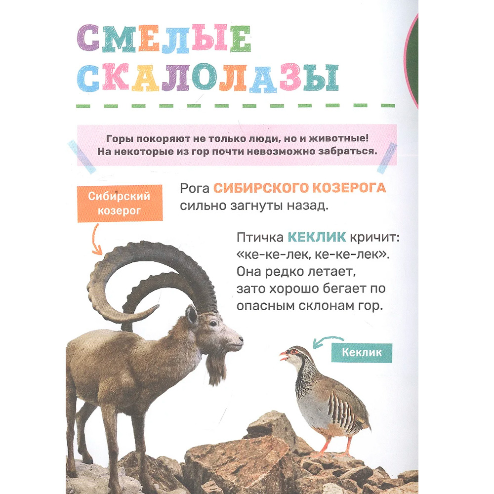 Книга 978-5-353-10380-6 Животные. Первая энциклопедия малыша